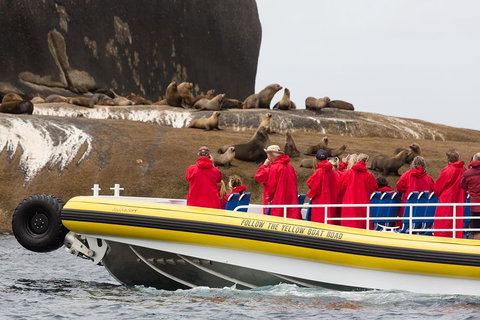 Wilsons Promontory Wilderness Cruise From Tidal River - ACT Tourism 1