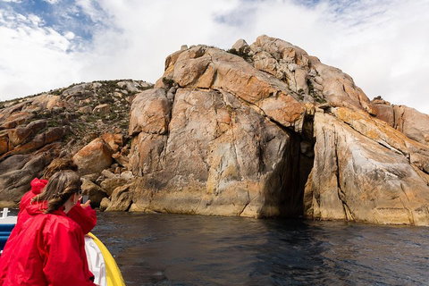 Wilsons Promontory Wilderness Cruise From Tidal River - ACT Tourism 3