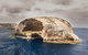 Wilsons Promontory Wilderness Cruise From Tidal River - thumb 5