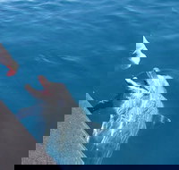 Noosa Thriller - 500hp Ocean Adventure Ride - ACT Tourism