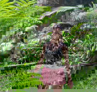 Full-Day Guided Hinterland Adventure Tour in Queensland - ACT Tourism