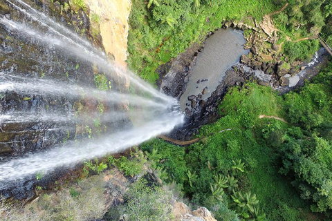 Natural Bridge & Springbrook Waterfalls Tour + Hot Air Balloon With Breakfast - ACT Tourism 1