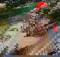 Lamington National Park O'Reilly's  Vineyard Tour - ACT Tourism