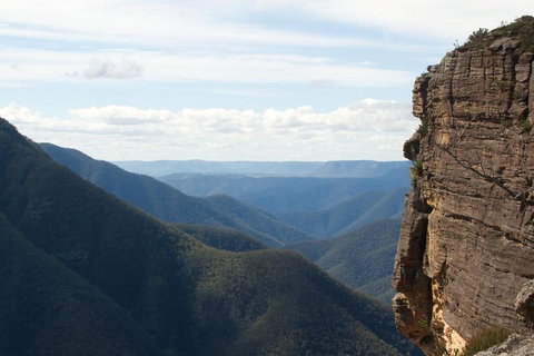 Inside The Greater Blue Mountains World Heritage - A Private Wildlife Safari Overnight - ACT Tourism 4