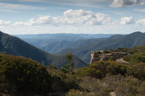 Inside The Greater Blue Mountains World Heritage - A Private Wildlife Safari Overnight - ACT Tourism 5