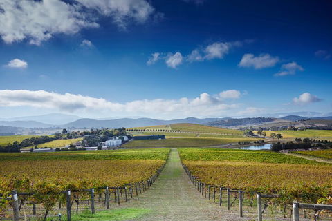 Yarra Valley Wine And Wildlife Self-Driving Tour - ACT Tourism 1
