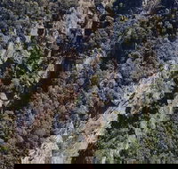 Leven Canyon Day Trip Including Wings Wildlife Park or Gunns Plains Caves - ACT Tourism