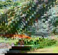 Tropical Fruit World Farm Full Tour - ACT Tourism