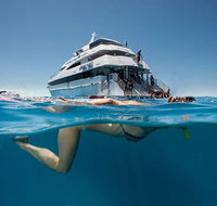 3 Day Great Barrier Reef Daintree Rainforest and Outback Chillagoe Tour - ACT Tourism