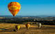 Yarra Valley Balloon Flight And Winery Tour - thumb 0