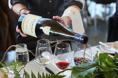 Yarra Valley Gourmet Small-Group Ecotour From Melbourne - ACT Tourism 3