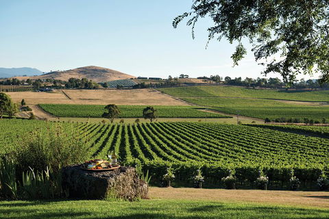 Yarra Valley 2-6 Guests Premium Food And Wine Inc Lunch At Dominique Portet - ACT Tourism 2