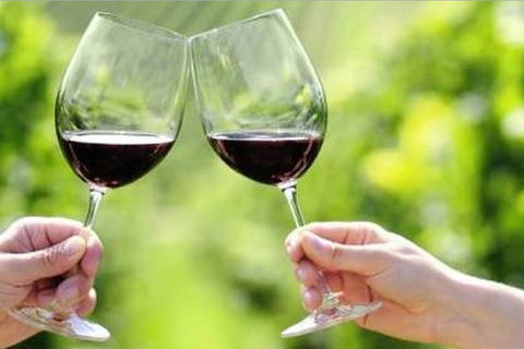 Yarra Valley Premium Tour Inc Lunch And Cheese And Wine Pairing At De Bortoli - ACT Tourism 5