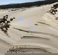 Port Stephens Bush Beach and Sand Dune 4WD Tag-Along Tour - ACT Tourism