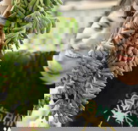 Small-Group Adelaide Central Market Early Breakfast Tour - ACT Tourism