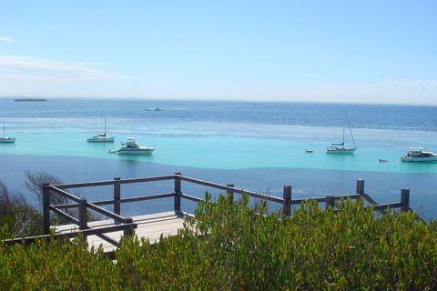 Rottnest Bayseeker Bus Tour From Hillarys Boat Harbour - ACT Tourism 3
