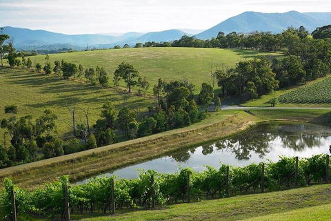 Yarra Valley Wine And Cider Tours By Classic Convertibles From Melbourne - ACT Tourism 1