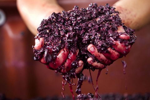 Yarra Valley Wine And Cider Tours By Classic Convertibles From Melbourne - ACT Tourism 2