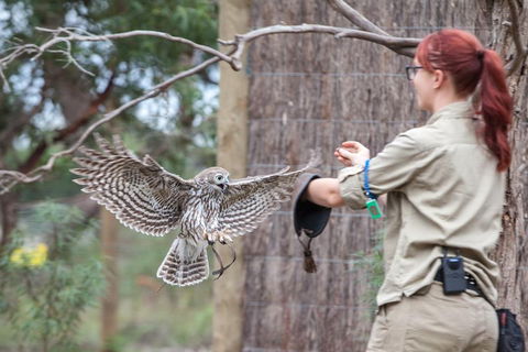 Moonlit Sanctuary Wildlife Conservation Park Daytime General Entry Ticket - ACT Tourism 1
