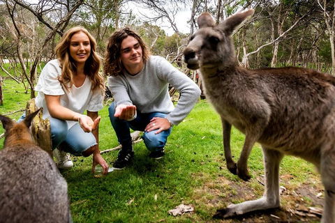 Moonlit Sanctuary Wildlife Conservation Park Daytime General Entry Ticket - ACT Tourism 2