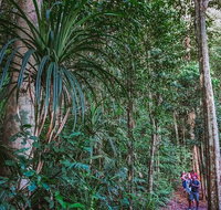 Atherton Tablelands Rain Forest by Night from Cairns - ACT Tourism