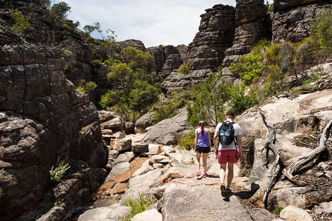 Grampians National Park With Kangaroos And MacKenzie Falls From Melbourne - ACT Tourism 3