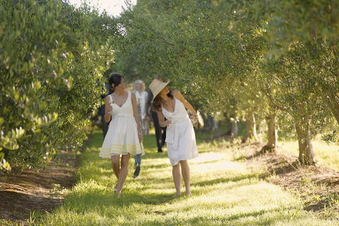 Yarra Valley Wine Tour With Local Harvest Tastings From Melbourne - ACT Tourism 0