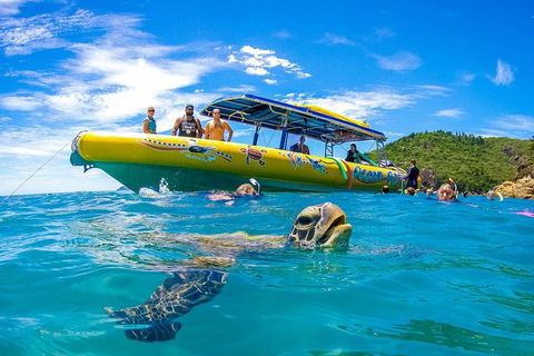 Great Barrier Reef Scenic Flight And Ocean Rafting Whitehaven Beach Day Trip - ACT Tourism 1