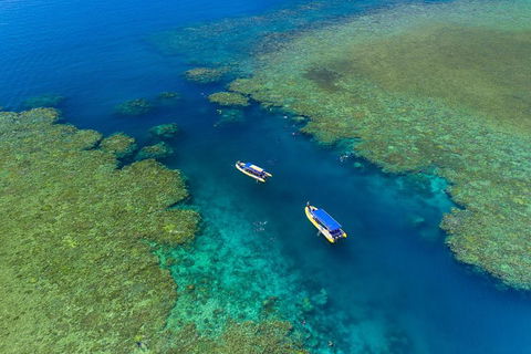 Great Barrier Reef Scenic Flight And Ocean Rafting Whitehaven Beach Day Trip - ACT Tourism 4