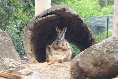 Featherdale Wildlife Park General Admission - ACT Tourism 2