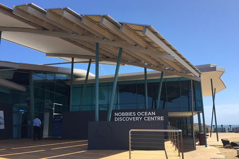 Phillip Island Penguin And Koala Highlights Day-Trip From Melbourne - ACT Tourism 1