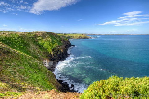 Phillip Island Penguin And Koala Highlights Day-Trip From Melbourne - ACT Tourism 5