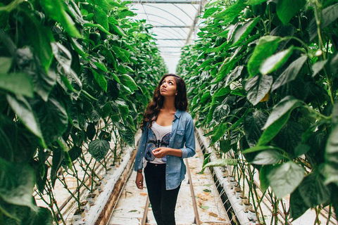 Yarra Valley Local Produce And Wine Tasting Tour - ACT Tourism 0