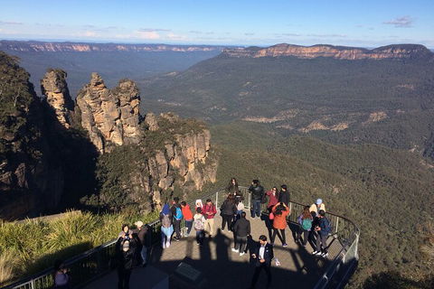 Private Blue Mountains Tour With Expert Guide - ACT Tourism 3
