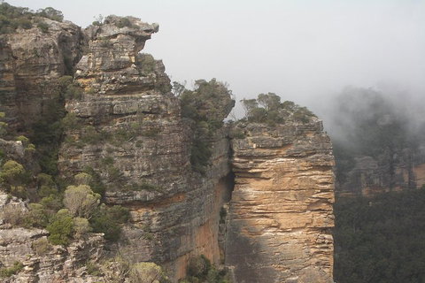 Private Blue Mountains Tour With Expert Guide - ACT Tourism 5