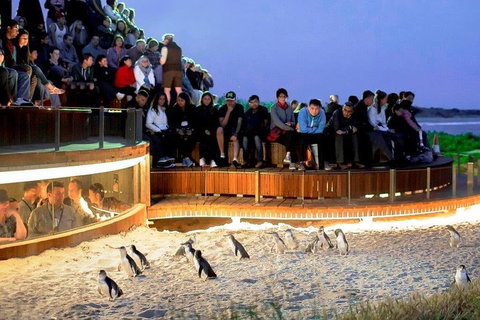 Great Ocean Road & Phillip Island - 3 Days, 2 Nights - ACT Tourism 0