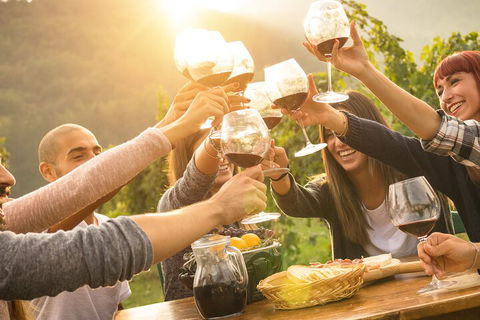 Yarra Valley, Dandenong Ranges Inc. Lunch With Wine,plus Morning Tea,chocolate - ACT Tourism 4