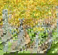 Margaret River Indulge and Discover Day Tour - ACT Tourism