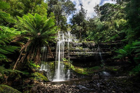 3-Day Tour To The Falls, Mountains, Lake & More Of West Coast Tasmania - ACT Tourism 4