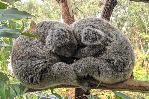Central Coast Explorer With 'Personalised Sydney Tours' - ACT Tourism 5