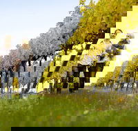 2-Day Private Daylesford  Macedon Ranges Gourmet Food Trail Tour from Melbourne - ACT Tourism