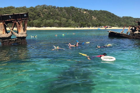 All Inclusive Dolphin And Tangalooma Wrecks Cruise - ACT Tourism 0