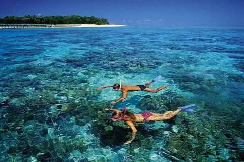Green Island Day Trip From Cairns - ACT Tourism 5