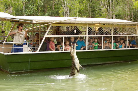 Hartley's Crocodile Adventure Half-Day Tour - ACT Tourism 0