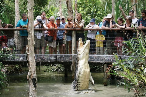 Hartley's Crocodile Adventure Half-Day Tour - ACT Tourism 1