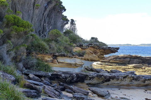 Day Trip To Cronulla & The Royal National Park - ACT Tourism 4