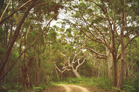 Day Trip To Cronulla & The Royal National Park - ACT Tourism 5