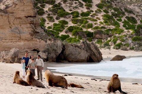 Kangaroo Island Scenic Trail Tour - ACT Tourism 5