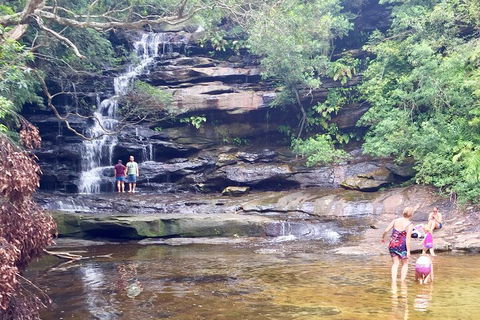 Central Coast Private Tour From Sydney, With Australian Reptile Park Option - ACT Tourism 0