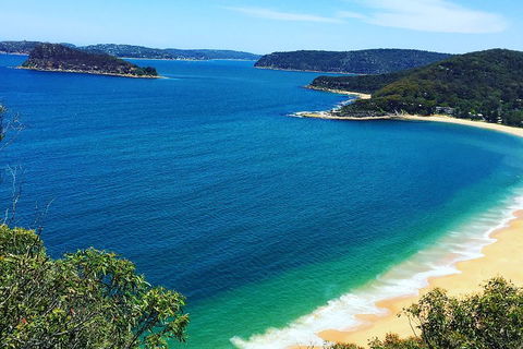 Central Coast Private Tour From Sydney, With Australian Reptile Park Option - ACT Tourism 5